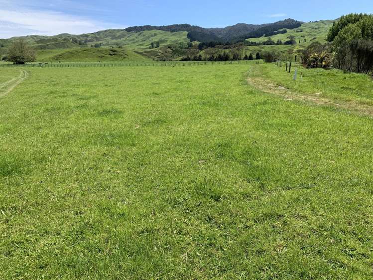 2896 State Highway 3 Awakino_36