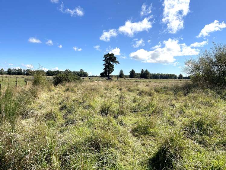 10 Saint Catherine Street Kaitangata_15