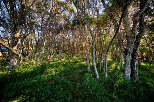266 Postmans Road Kaikoura_2