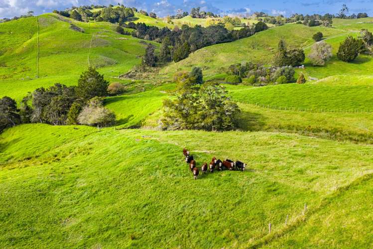 118 Paparoa Station Road Paparoa_11