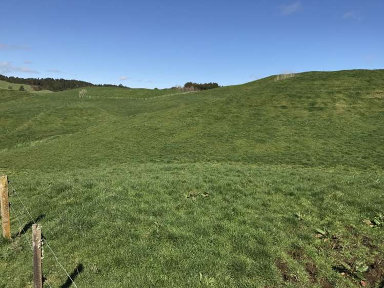 1232 Ngaroma Road Wharepuhunga_16