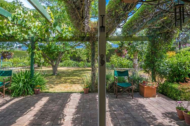 216 Neal Road Spring Creek_4