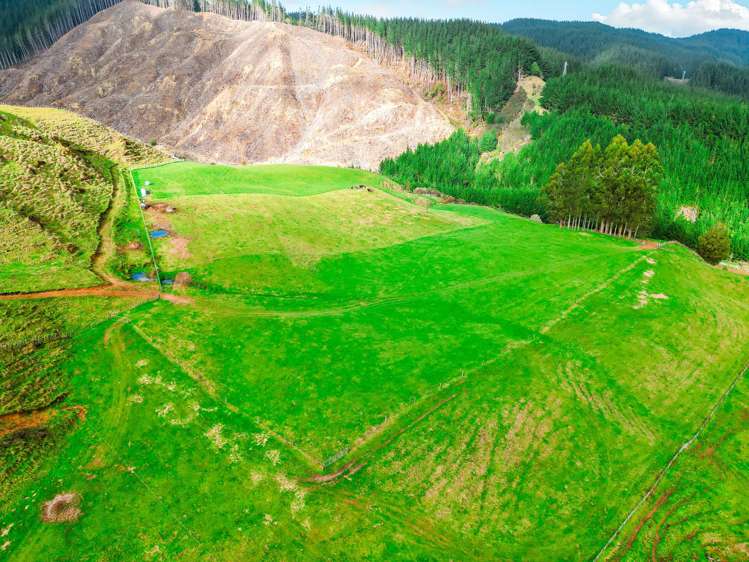 3789 State Highway 4 Ongarue_18