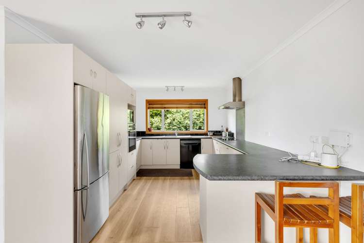 57 Richmond Road Pohara_13