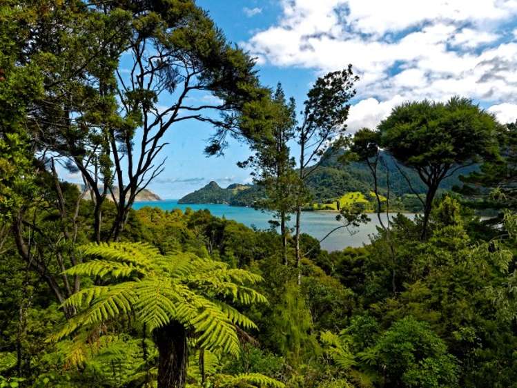 15 Kilgour Terrace Huia_13