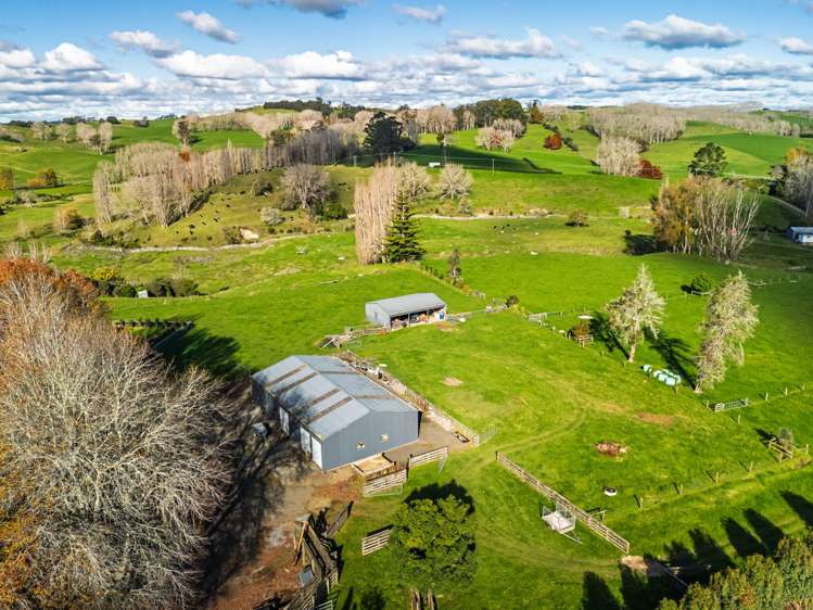 63B Ludbrook Road Pakaraka_22
