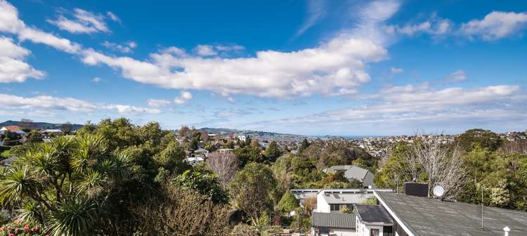 80a Helensburgh Road Halfway Bush_11