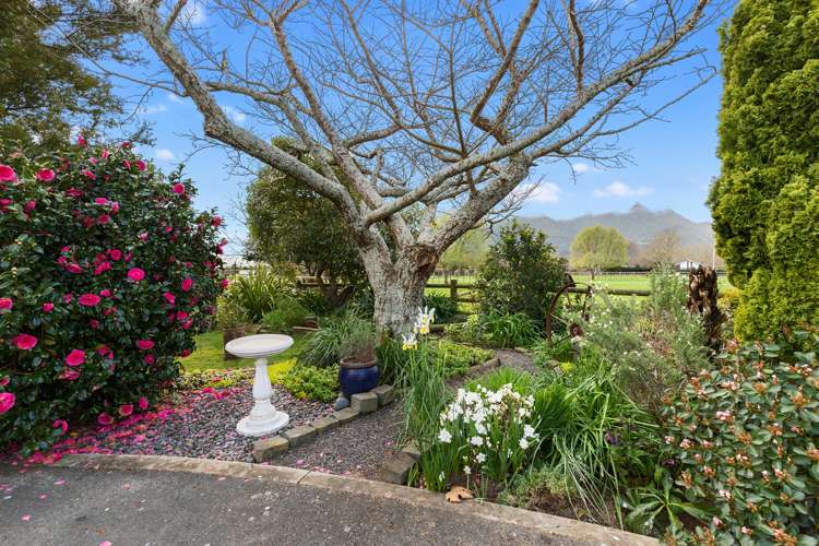 110 Lovegrove Road Te Aroha_21