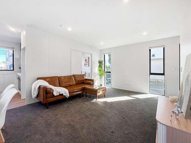 146 Blenheim Road Riccarton_4