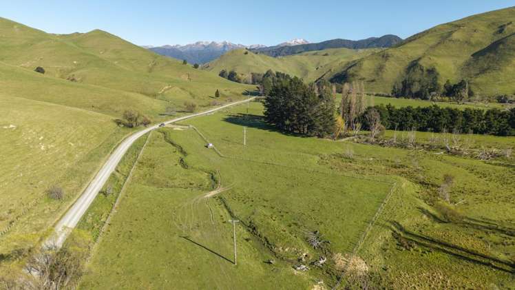 Mikimiki Road Masterton_18
