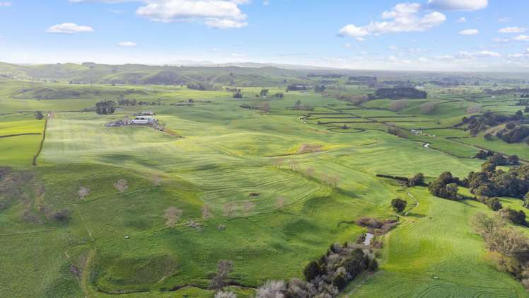 Starkey Rd Morrinsville_3