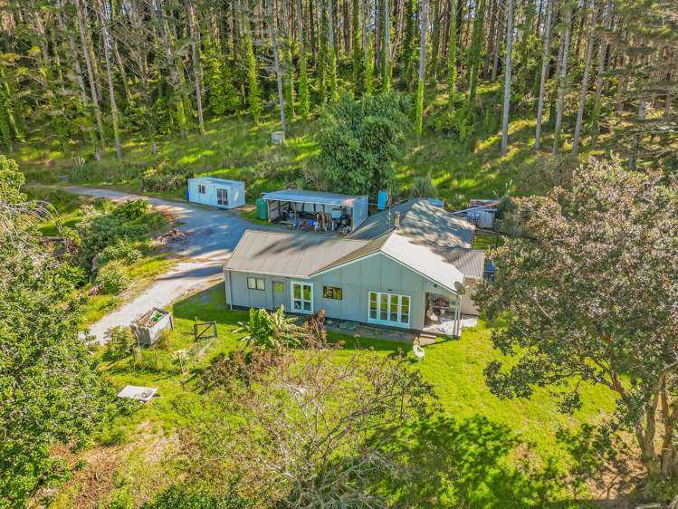 110 Whangape Track Road Broadwood_37