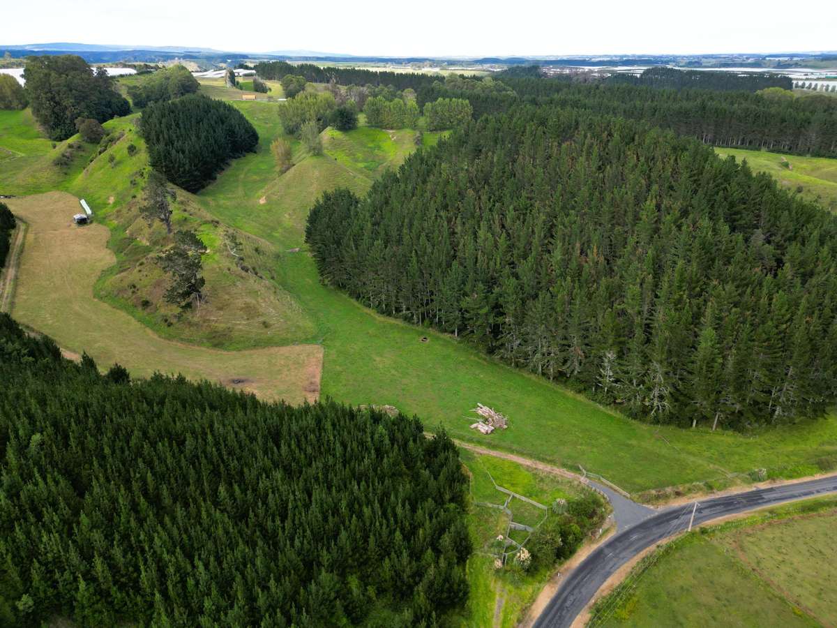 1/461 Otamarakau Valley Road_2