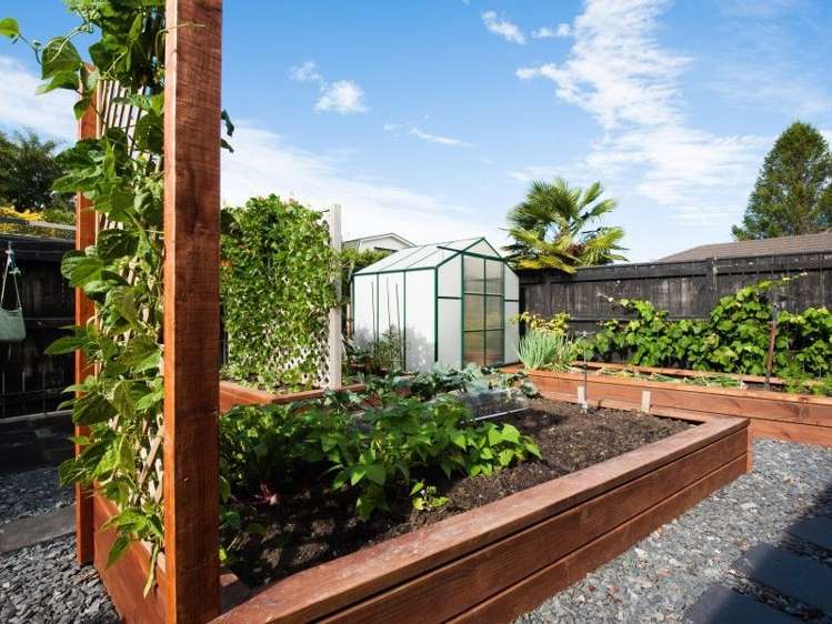 10 Nottinghill Drive Springlands_25