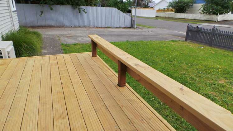 12 Guy Avenue Levin_6