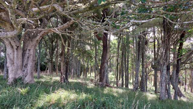 Lot/1 Arcadia Road Paparoa_2
