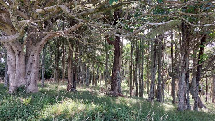 Lot/1 Arcadia Road_2