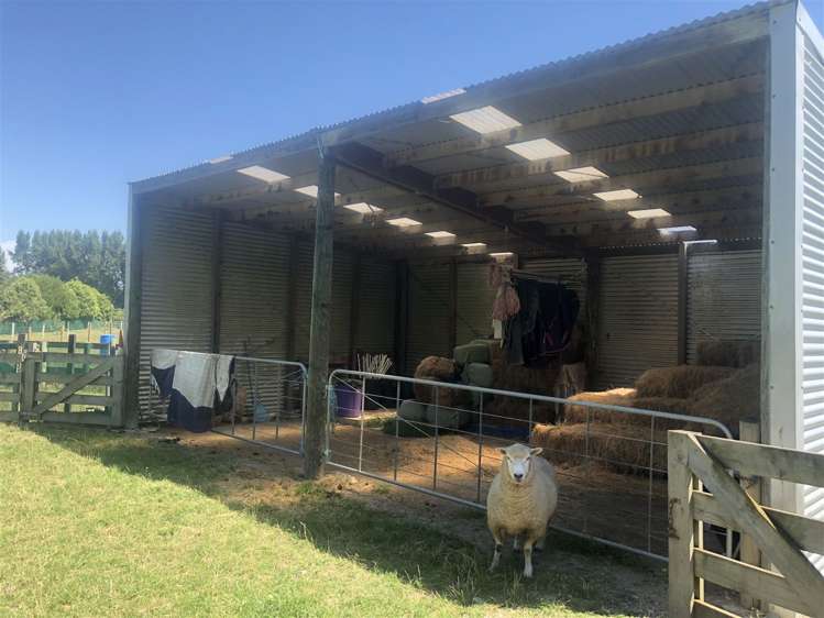 181e Willow Park Drive Opaki_6