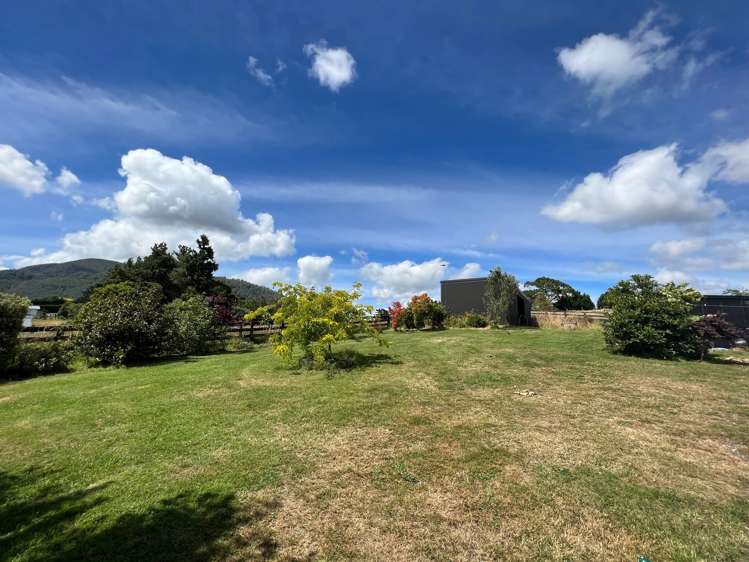 376 Centennial Drive Wairakei and Surrounds_5