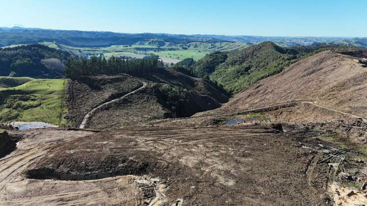 Waireka Road Papaiti_2