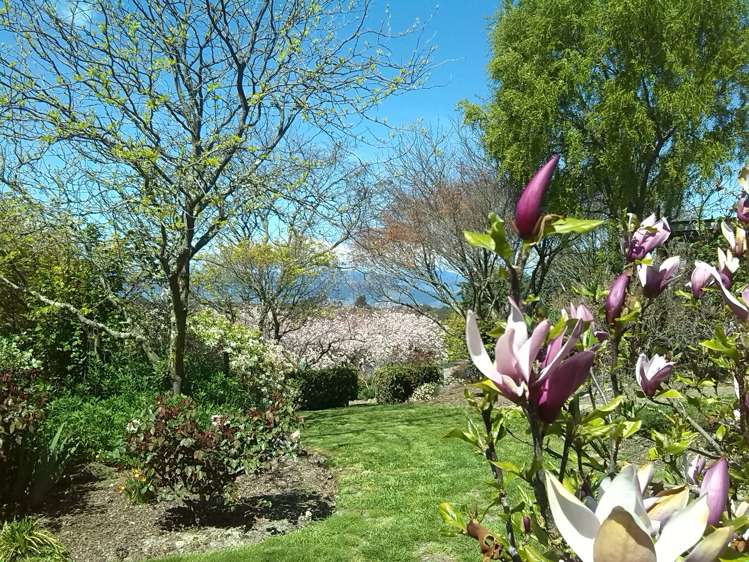 24 Bronte Road East Upper Moutere_20