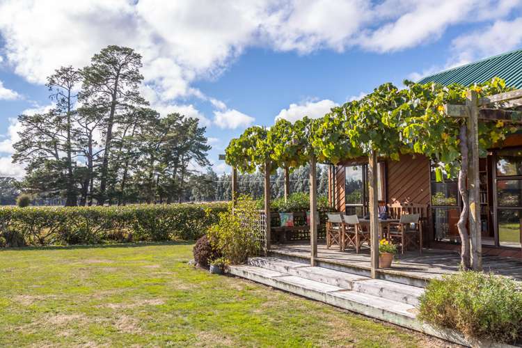 18 Evans Road Upper Plain_15