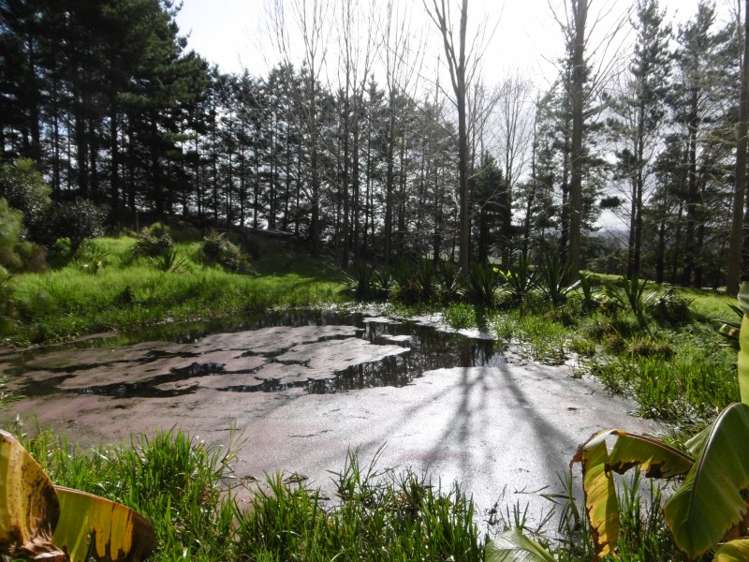 697 Tangihua Road Maungakaramea_21