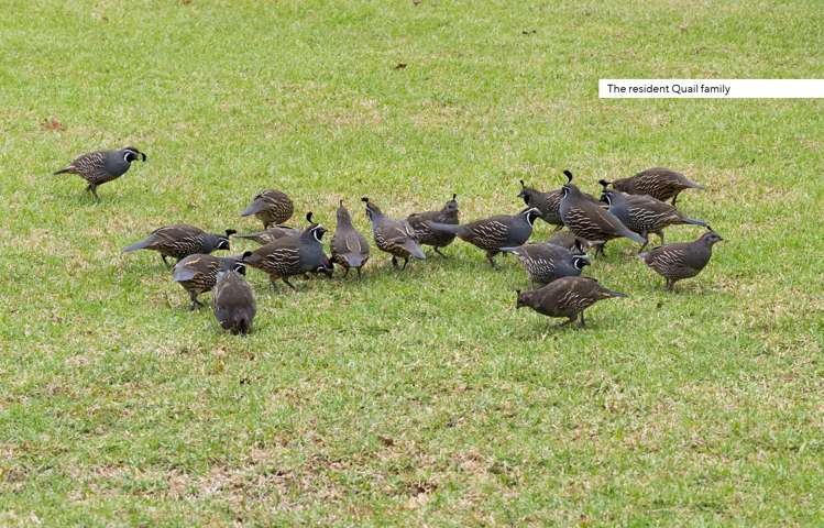 106 Old Golf Course Road Dargaville_22