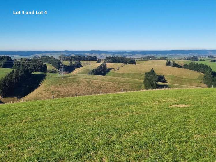 Cameron Road, Hillend Balclutha_9