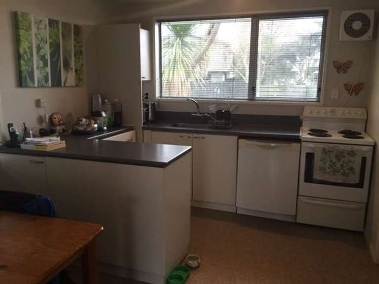 11a Martyn Street Rangiora_2