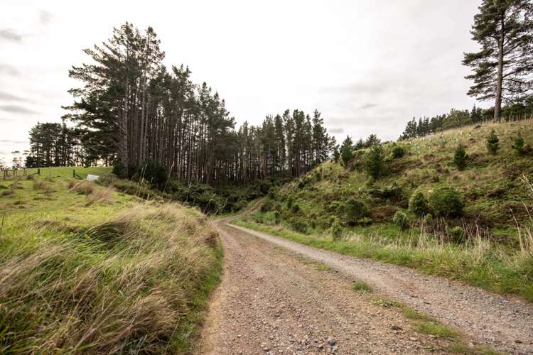 58 Greens Road Linton_19
