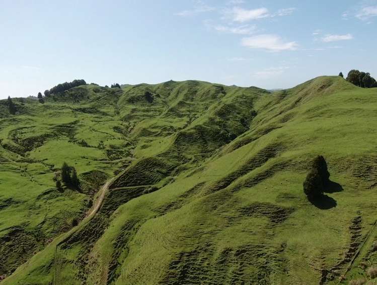 167 Whenuakura Road Waimiha-Ongarue_8