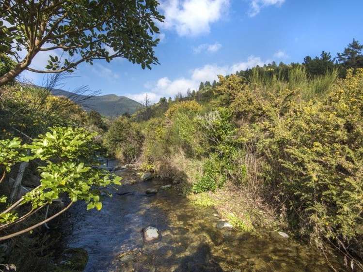 112 Boons Valley Road Waikawa_6