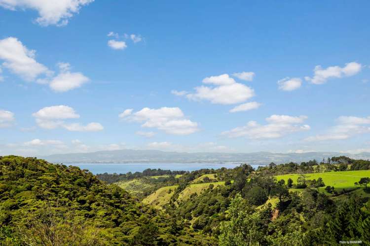 236 Manukau Heads Road Manukau Heads_14