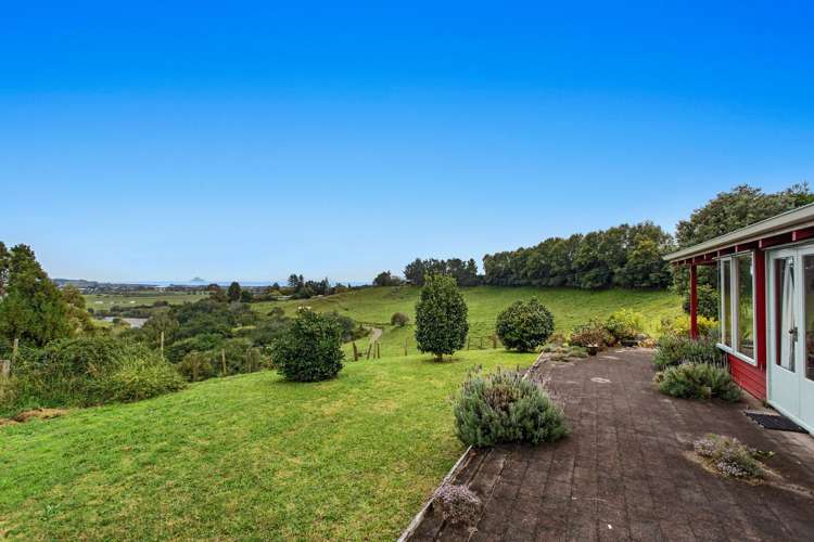 306 Tablelands Road Opotiki Coastal_8