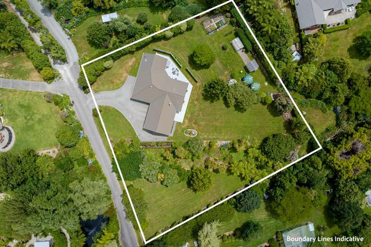 114 Maui Pomare Road Nikau Valley_32