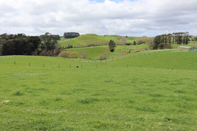 ELEVATED FOUR ACRES