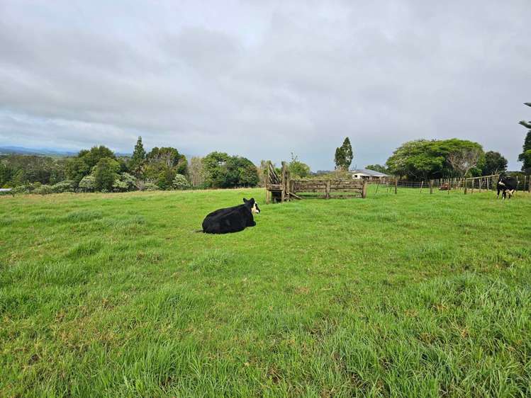 15 Rowsell Heights Kaikohe_10