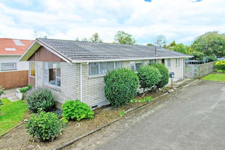 27 Elizabeth Street Mount Victoria_13