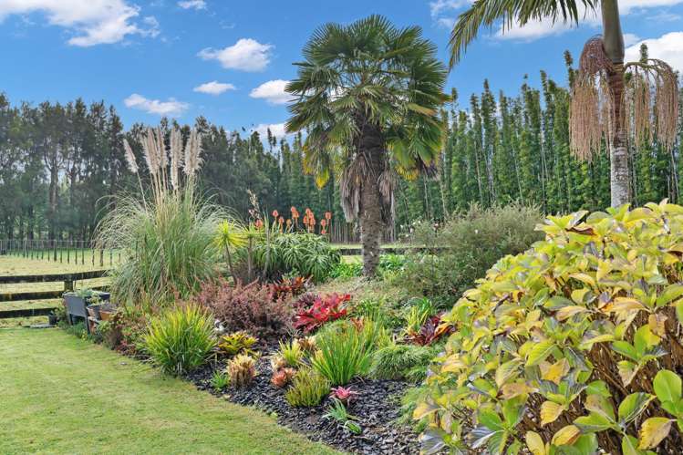 123B Ness Road Waipapa_16