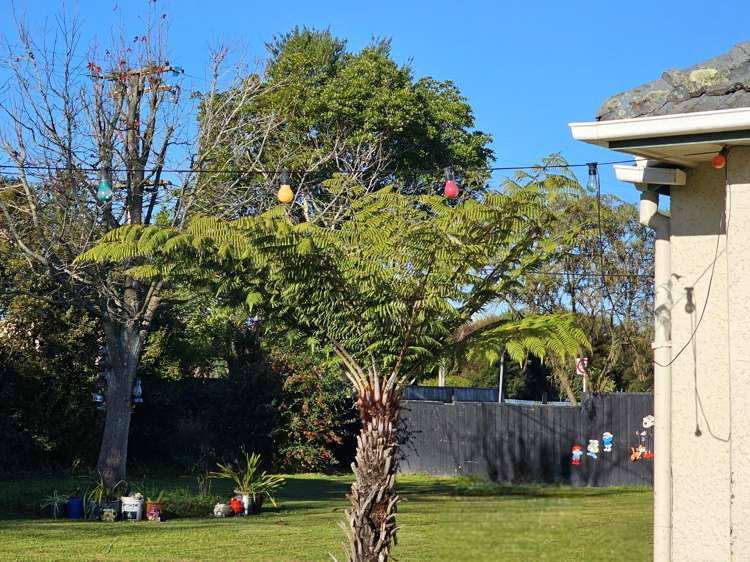 60 Alexandra Street Marton_15