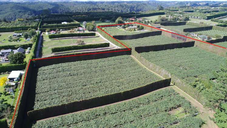 560 Belk Road Kaimai_18