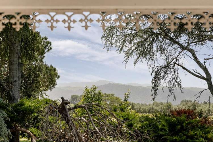 323A Hallett Road Otakiri_22