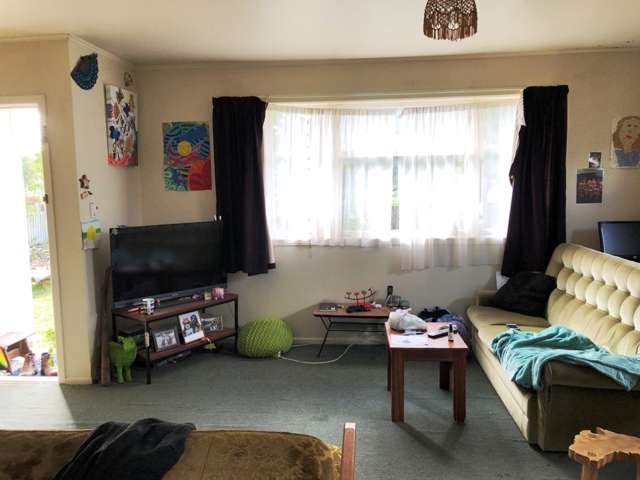 11 Pentland Terrace Tokoroa_3