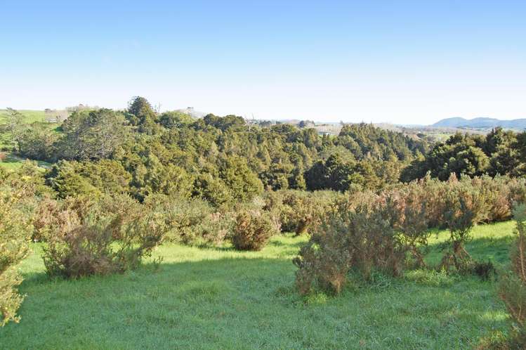 36 Tawa Avenue Kaiwaka_13