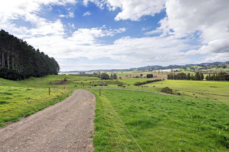 Queens Farm, 16 McGinley Road Opotiki_21