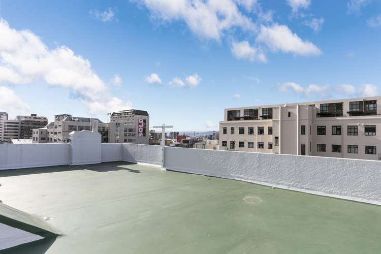 8/4 Oak Park Avenue Te Aro_13