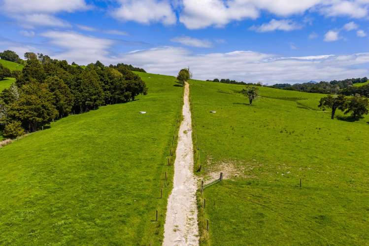 Mangakahia Road Titoki_26