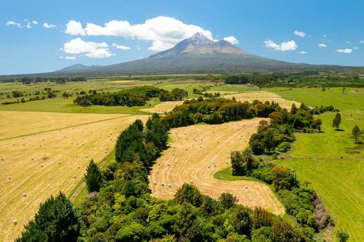 398 Wiremu Road Te Kiri_11