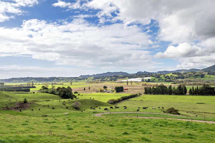 Queens Farm, 16 McGinley Road Opotiki_22